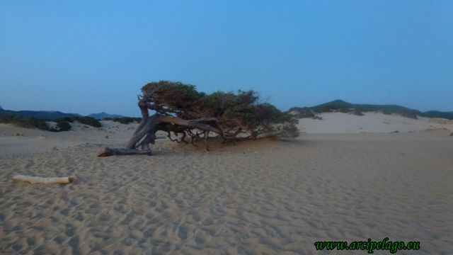 Piscinas di notte