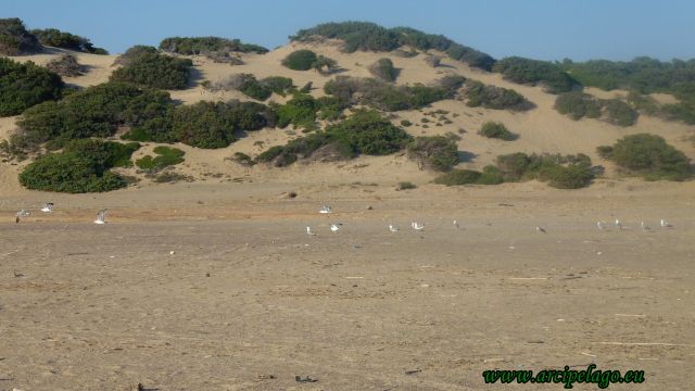 Piscinas