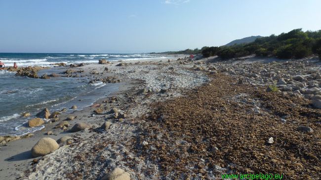 Spiaggia Berchida