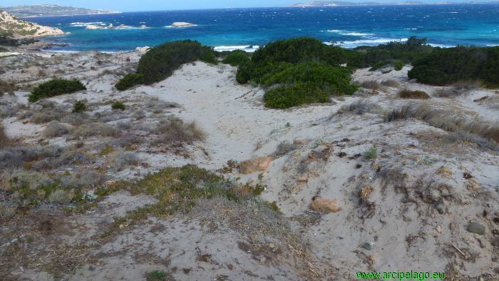 Isola Maddalena