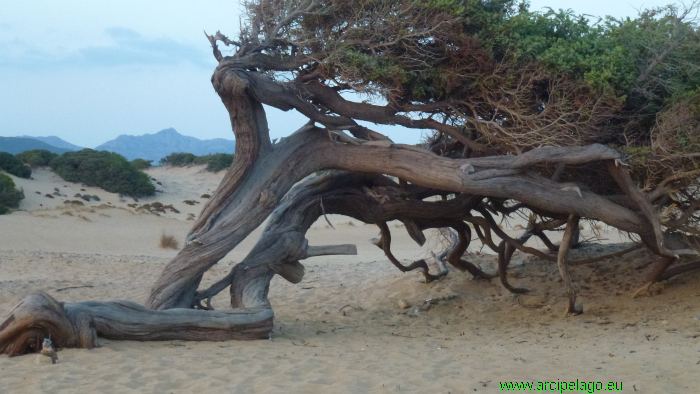 Sardegna a rischio