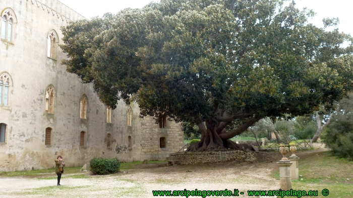 Castello Donnafugata