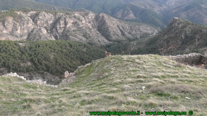 Segura de la Sierra