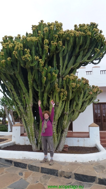 Fuerteventura: Antigua