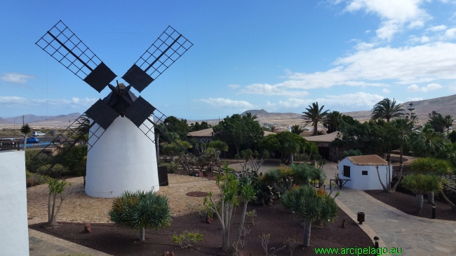 Fuerteventura: Antigua