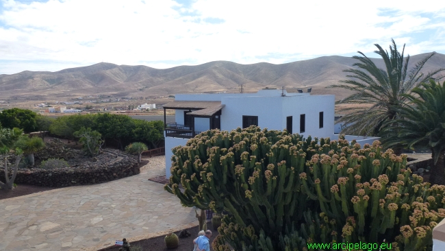 Fuerteventura: Antigua