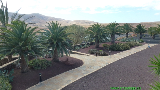 Fuerteventura: Antigua