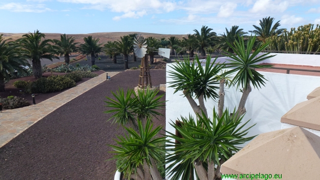 Fuerteventura: Antigua