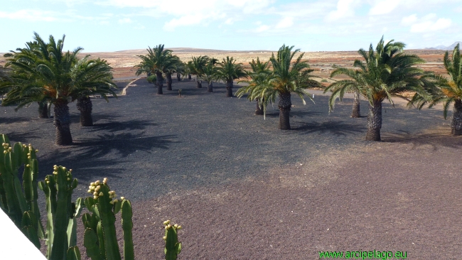 Fuerteventura: Antigua