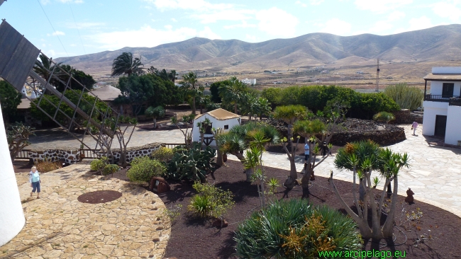 Fuerteventura: Antigua