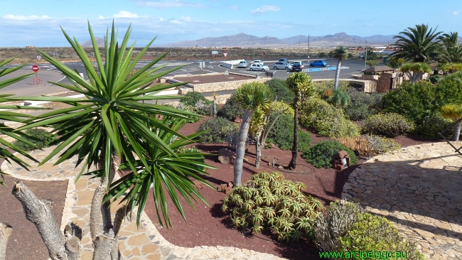 Fuerteventura: Antigua