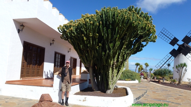 Fuerteventura: Antigua