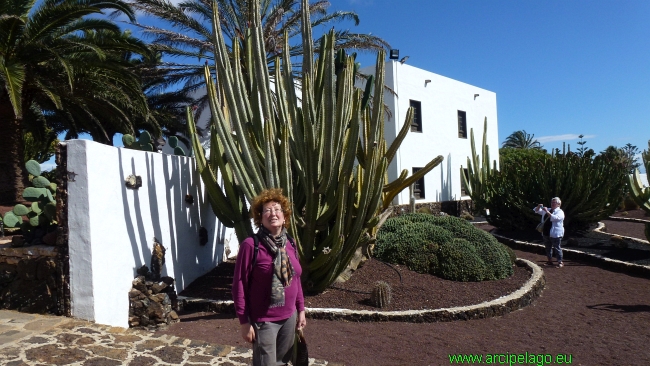 Fuerteventura: Antigua