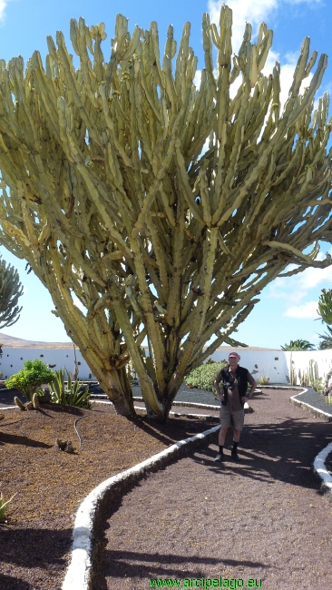 Fuerteventura: Antigua