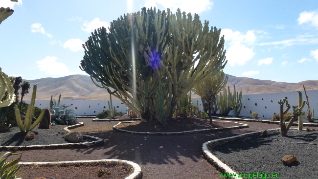 Fuerteventura: Antigua