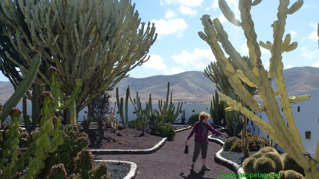 Fuerteventura: Antigua