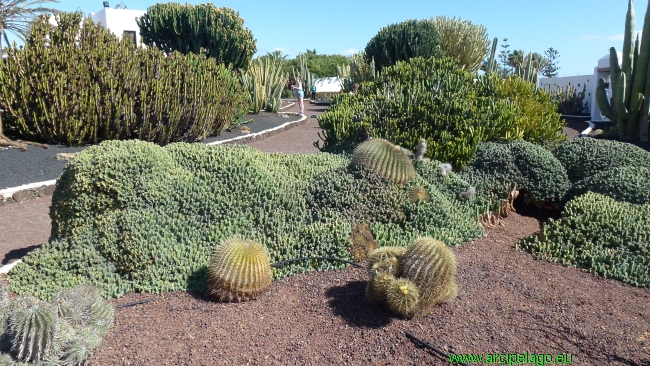 Fuerteventura: Antigua