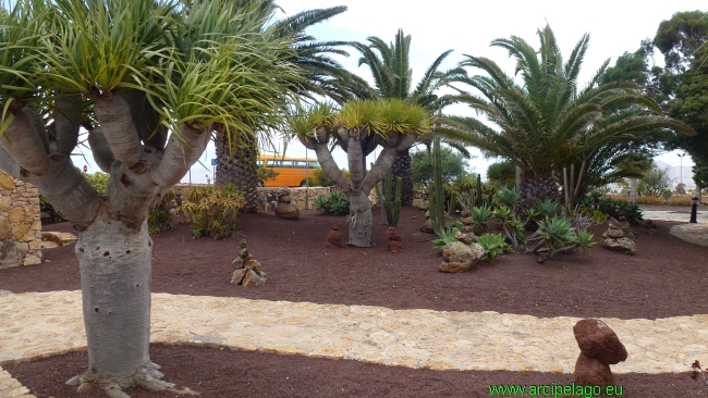 Fuerteventura: Antigua