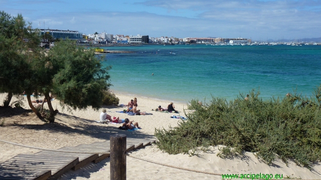 Fuerteventura: Corralejo