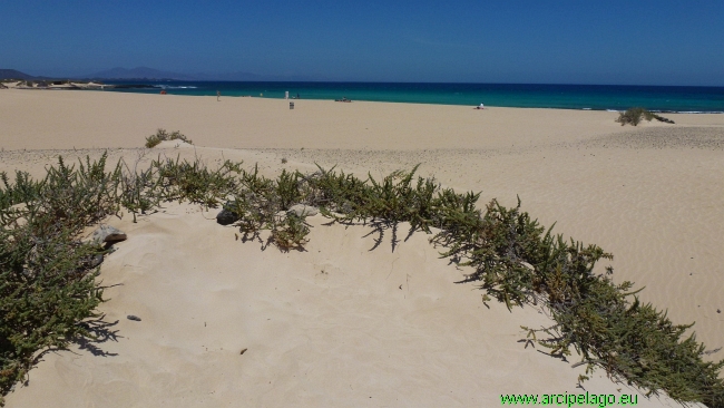 Corralejo