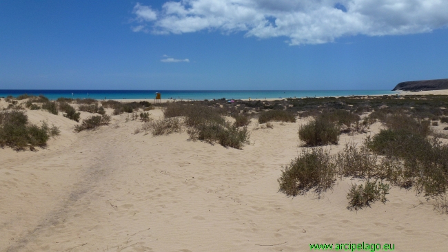 Playa de Sotavento de Jandia