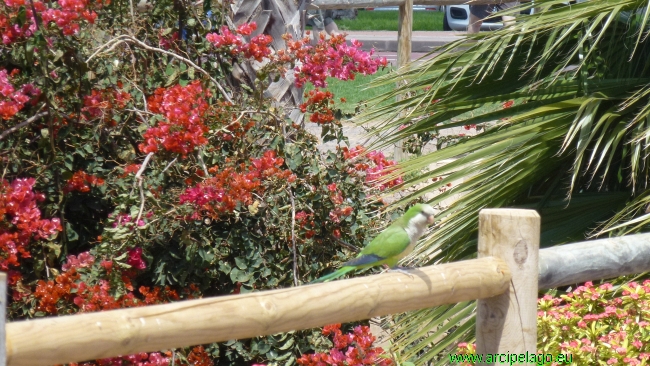 Fuerteventura: Morro Jable