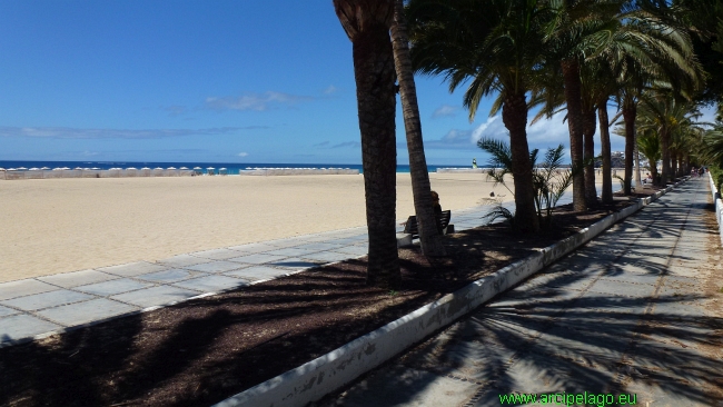 Fuerteventura: Morro Jable