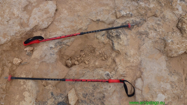 Oasi: le orme fossili