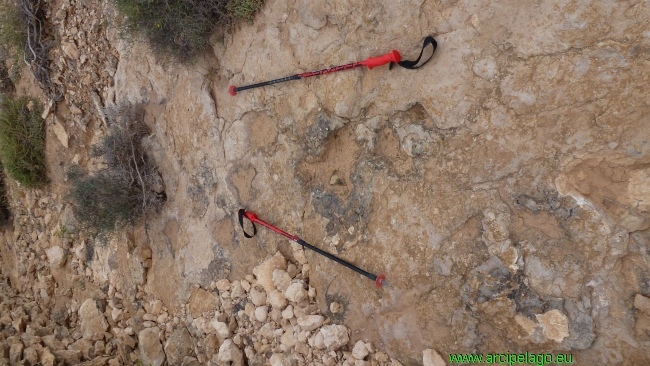 Oasi: le orme fossili