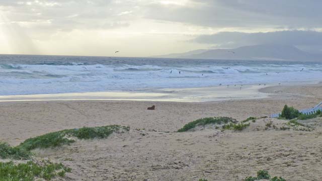 Tarifa