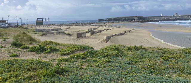 Tarifa