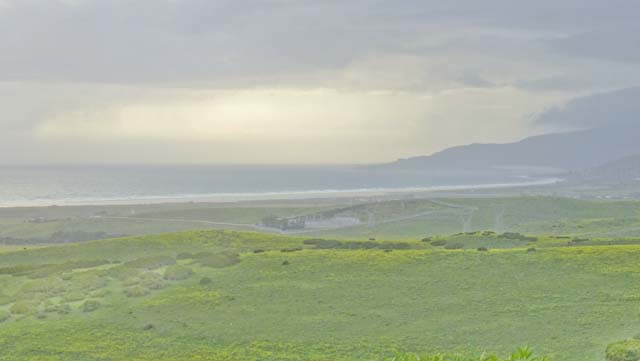 Tarifa