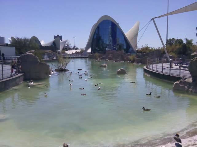 museo oceanografico