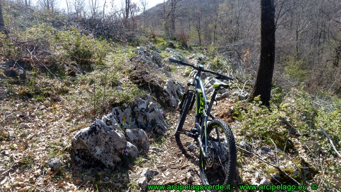 Atala B-XGR8 AM80