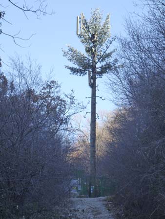 antenna telefonia