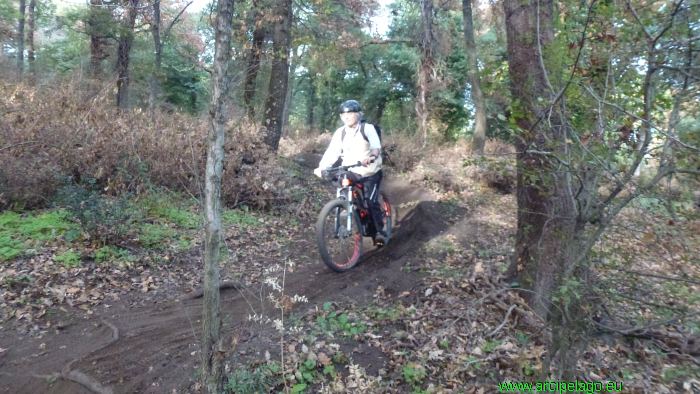Bike shop test: Formello