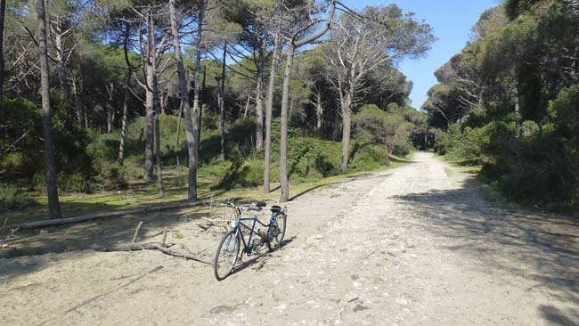 Orbetello