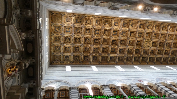 Pisa