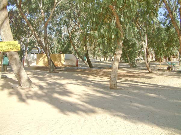 Douz: camping governativo