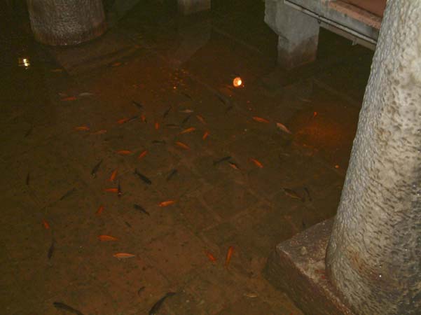 Istanbul: Cisterna Basilica