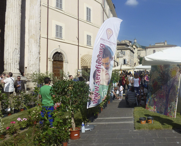 Assisi