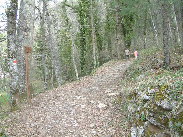 Parco Nazionale Foreste Casentinesi