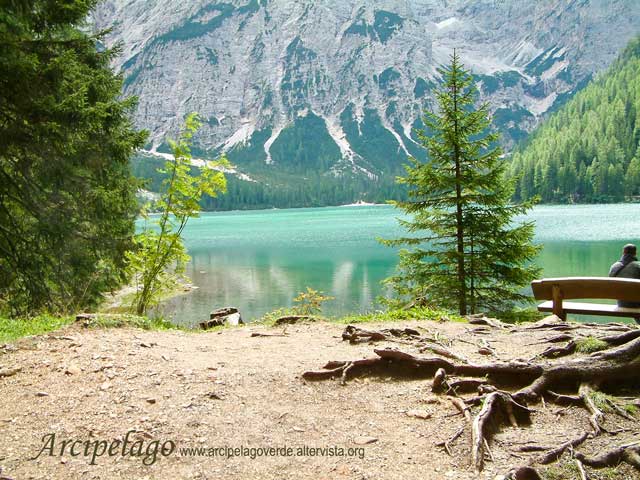 Dolomiti.