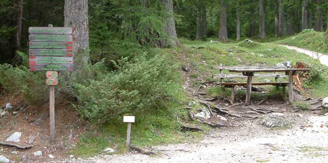 Dolomiti.